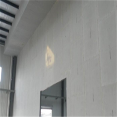靖西宁波ALC板|EPS加气板隔墙与混凝土整浇联接的实验研讨
